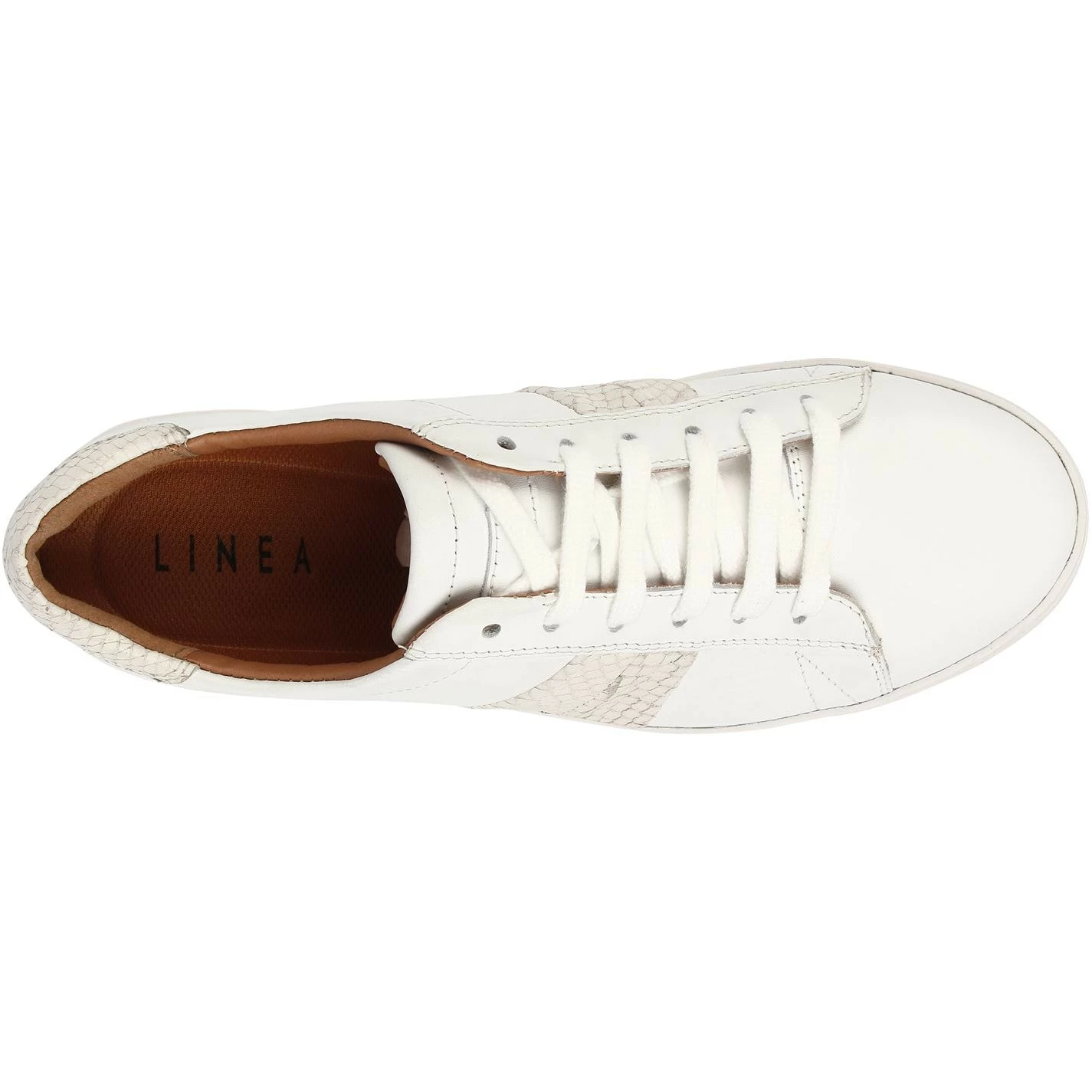 Linea Low Trainers - Image 3